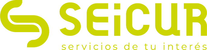 seicur-logo-sec